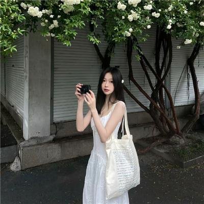 大偷记